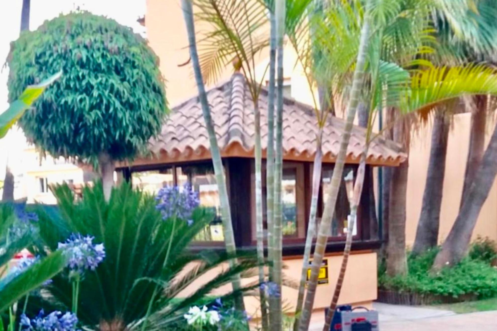 - Alicate Beachfront Apartment- 8 Apartment *