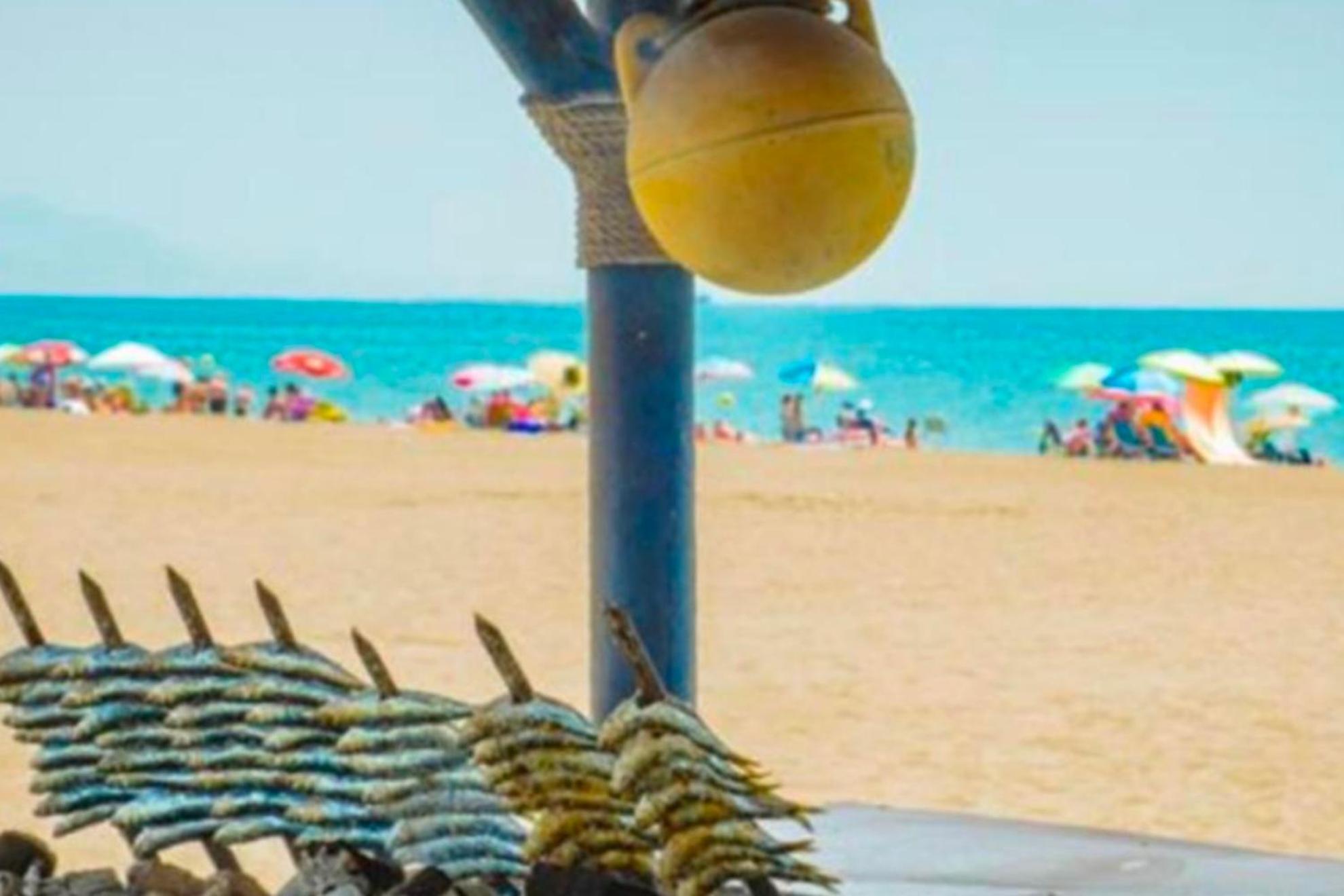 - Alicate Beachfront Apartment- 8 Marbella