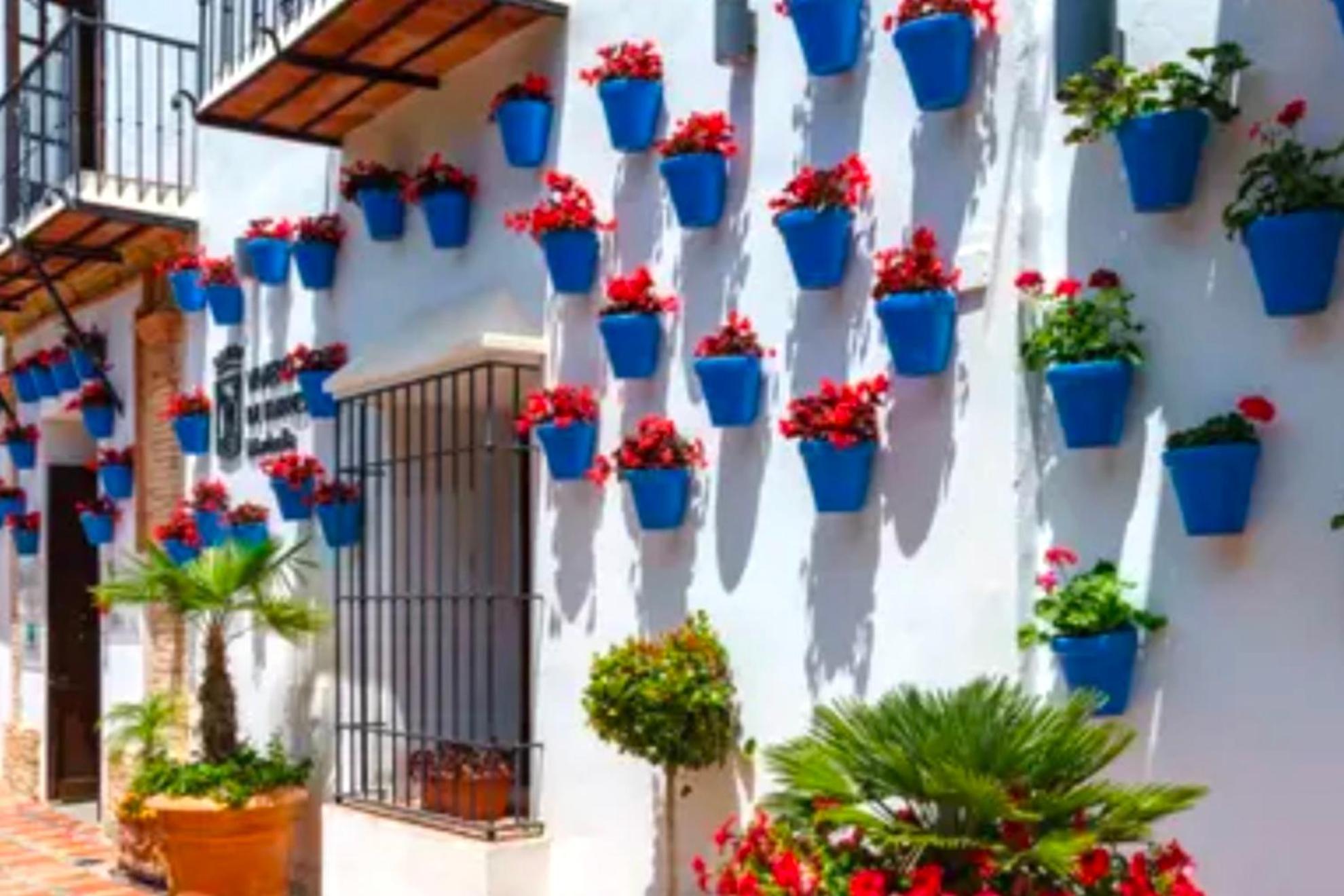 - Alicate Beachfront Apartment- 8 Apartemen *