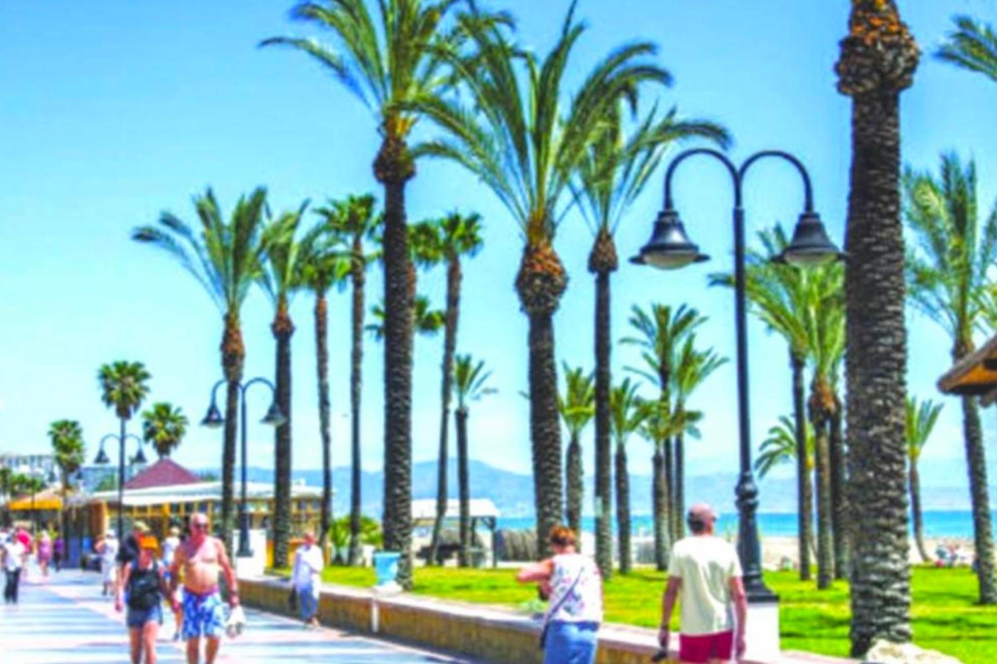 - Alicate Beachfront Apartment- 8 Marbella